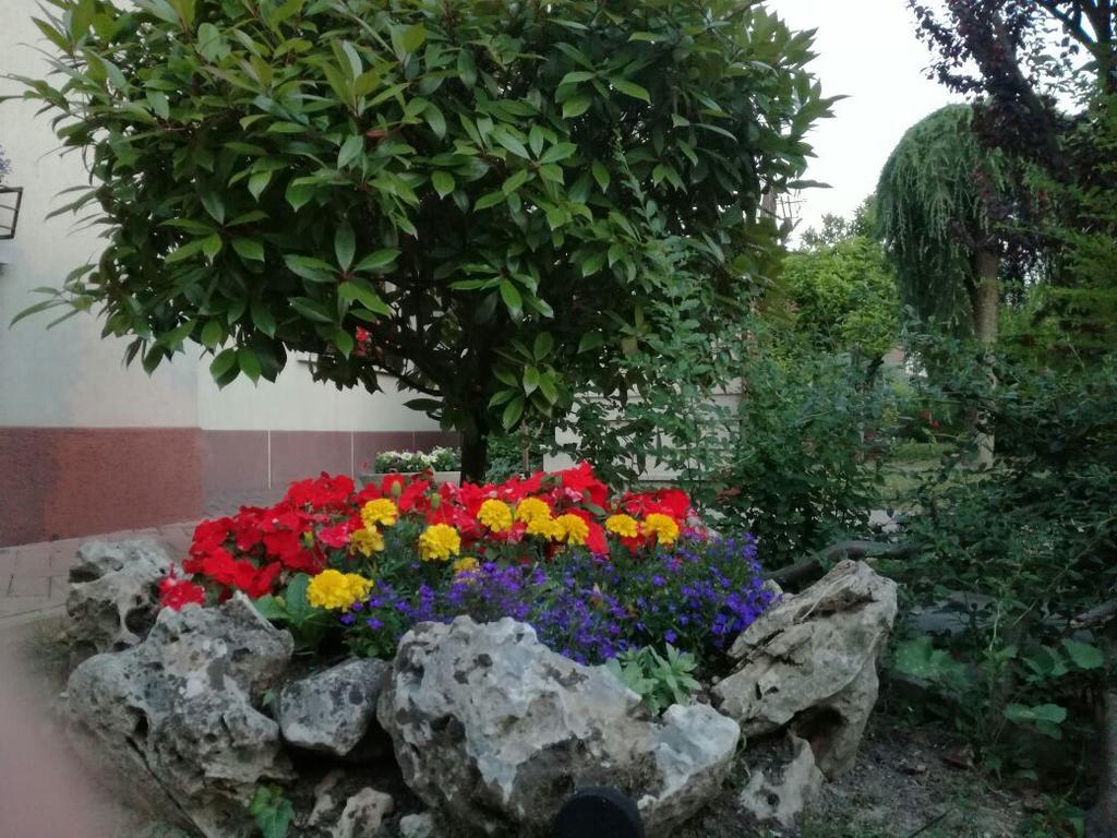 B&B Morosini Polesella Exterior foto